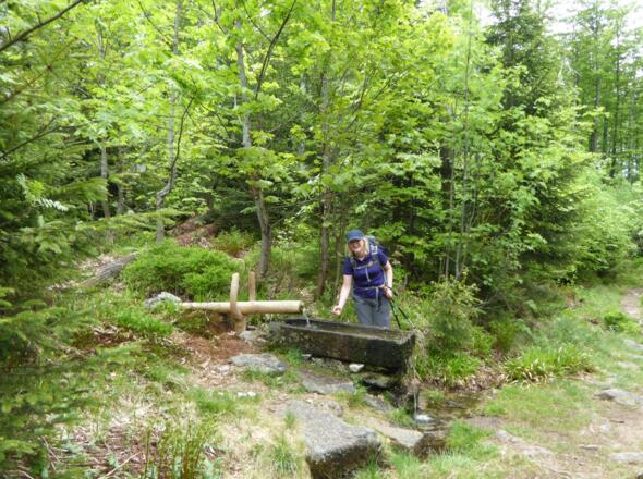Abkühlung kurz vorm Tummelplatz