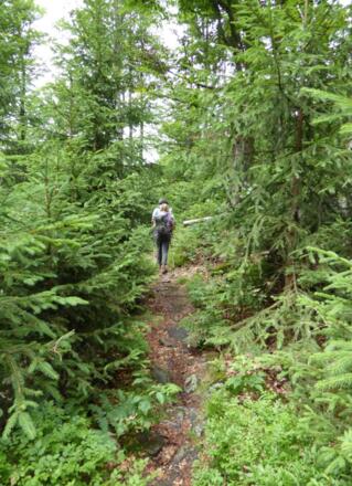 Pfad am Oberen Horizontalsteig