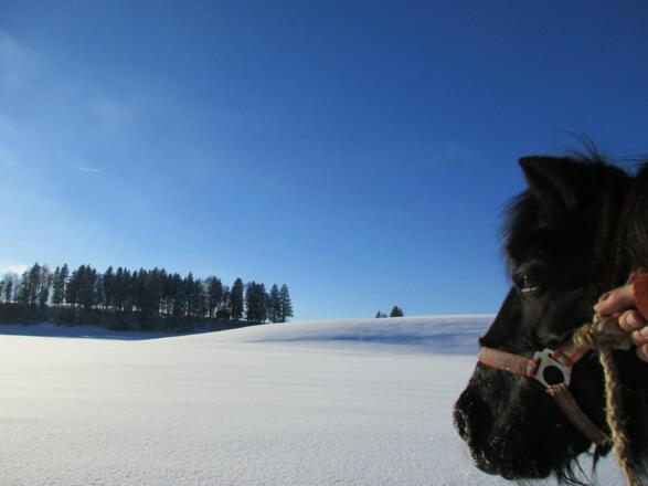 Auch im Winter ist die Natur und Landschaft wunderschön
