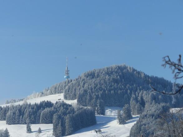 Blick zum Blender