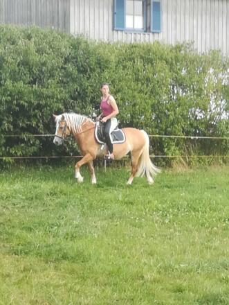 Reiten