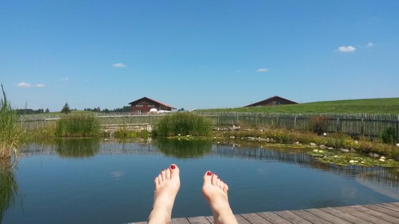 am Teich