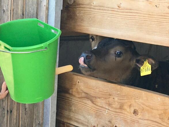 Mmh lecker Milch