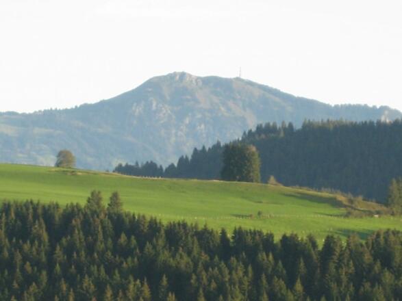Grüntenblick