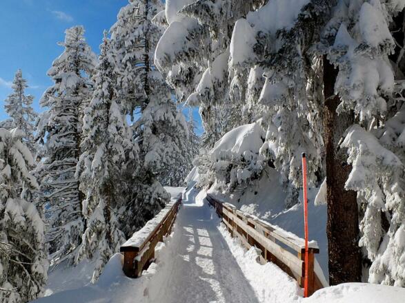 Geräumtes Winterwanderwegenetz auf dem Predigtstuhl