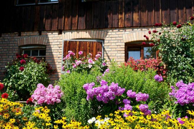 Blumenpracht