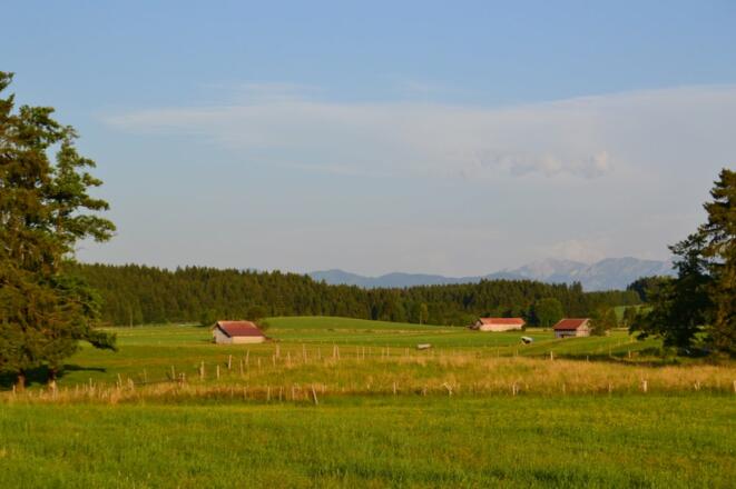 dsc_0009-001