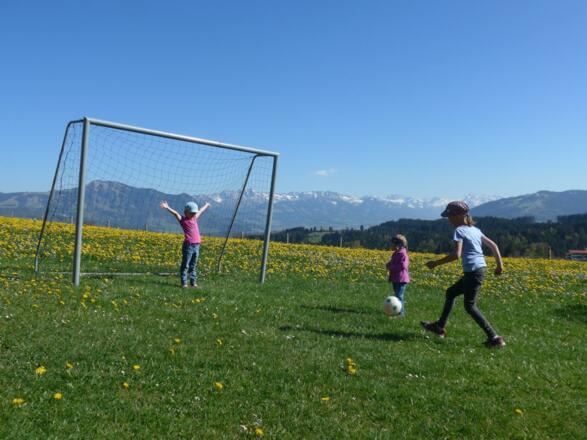 Fußball, Tor