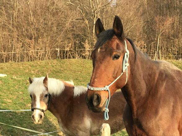 4c5459e3-f034-4ce4-b5a1-ff009f515f65