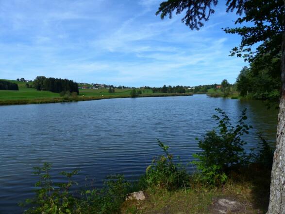 Herrenwieser Weiher ganz in der Nähe