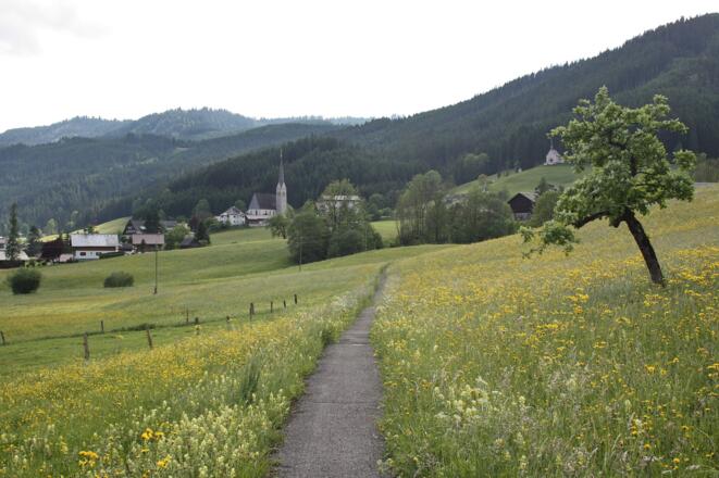 Panoramaweg