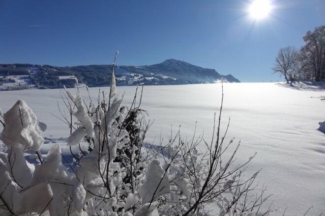 Winterstimmung