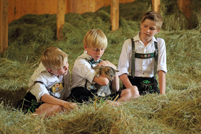 Eine unserer Schmusekatzen