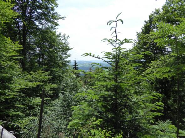 Blick von der Kleinen Kanzel