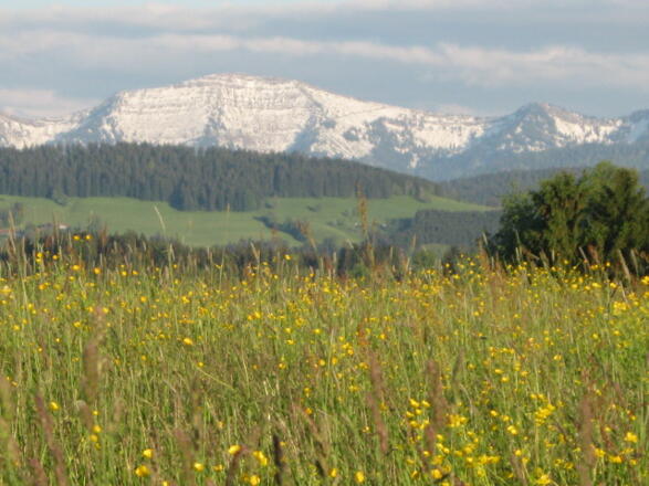 unser Hausberg!! der Hochgrat.....bei Oberstaufen