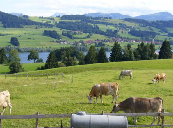 Seeblick