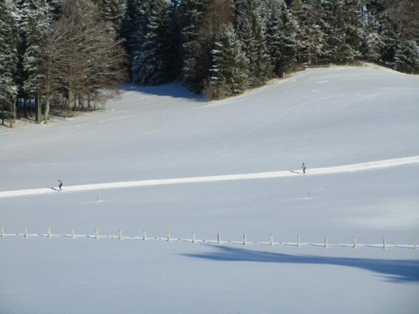 Die Loipe läuft direkt am Hof vorbei - kostenfreie Nutzung