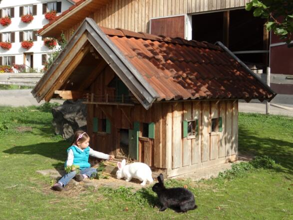 Unser Hasenhaus