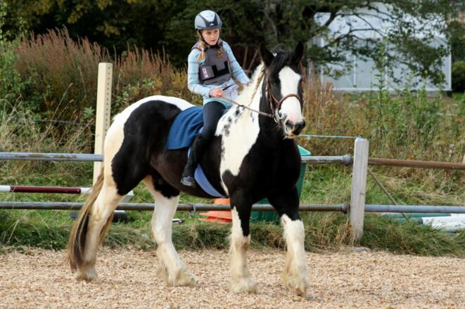 Reiten
