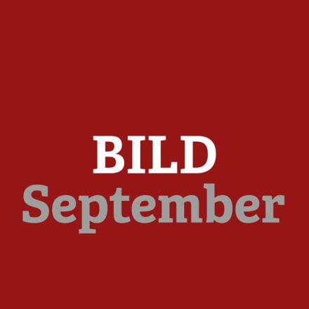 bild sep