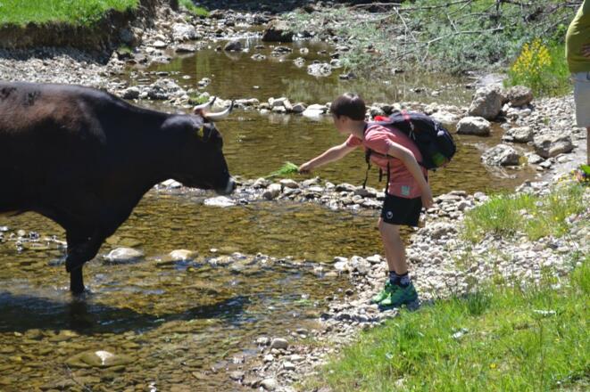 Wandern im Allgäu