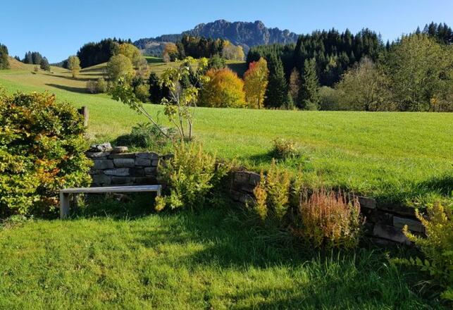 Der Blick vom Garten zum Hausberg der Jungholzer- der Sorgschrofen