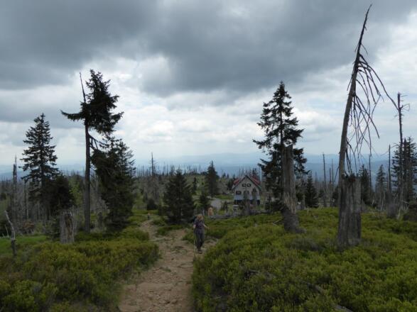Waldschmidthaus am Großen Rachel