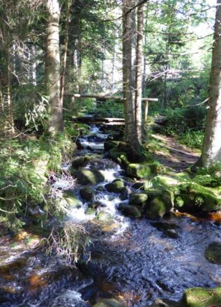 entlang der kleinen Ohe