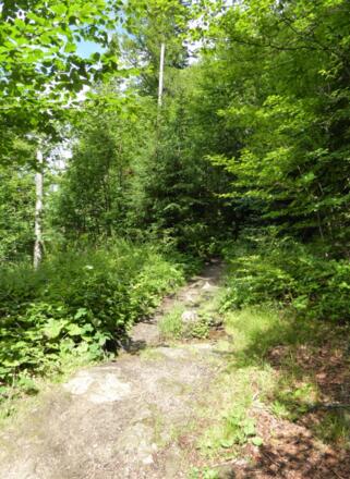 Pfad zum Teufelsloch