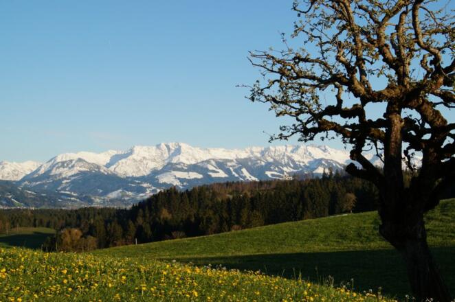 Ausblick vom Hof aus