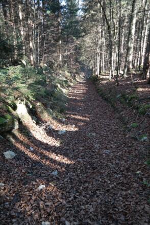 Hohlweg beim Abstieg.