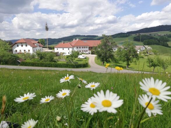 Schafflhof Hausansicht