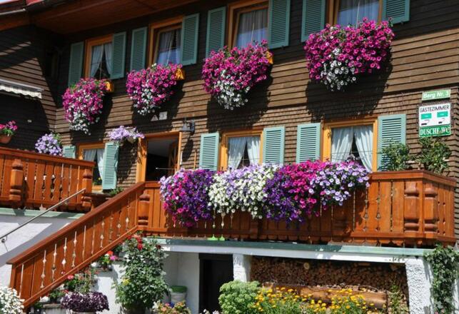 Chalet & Almhostel Alpenperle