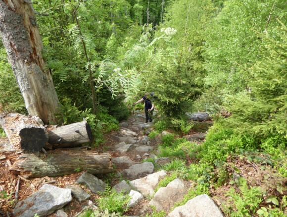 Aufstieg zum Teufelsloch