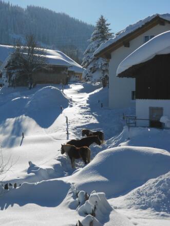 Winteridylle