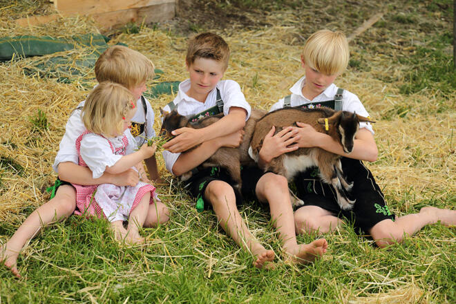 Unsere Zwergziegen Hanni und Schorsch