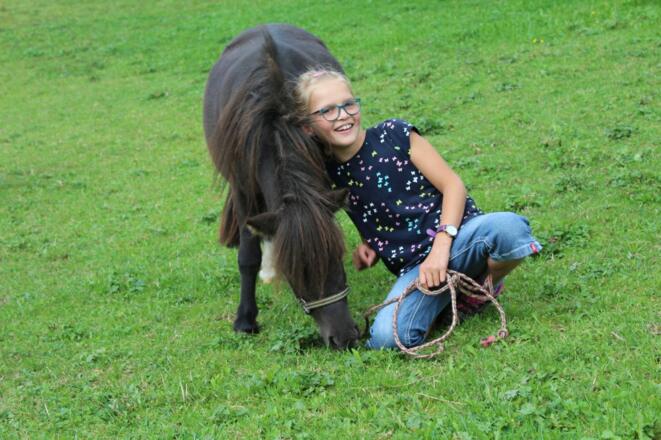 ein Pony zum kuscheln