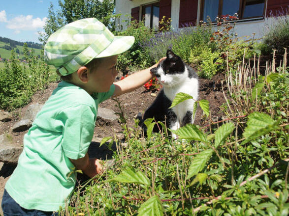 katze-kind