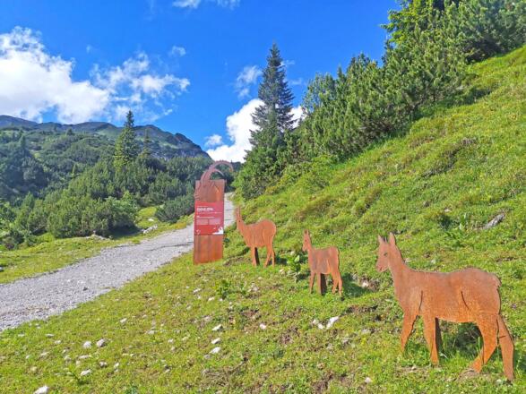 Informationstafeln und Steinbock-Nachbildungen entlang des Weges