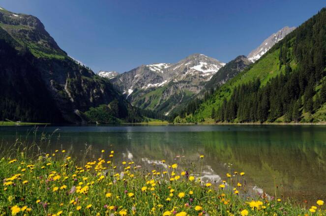 Vilsalpsee im Frühling