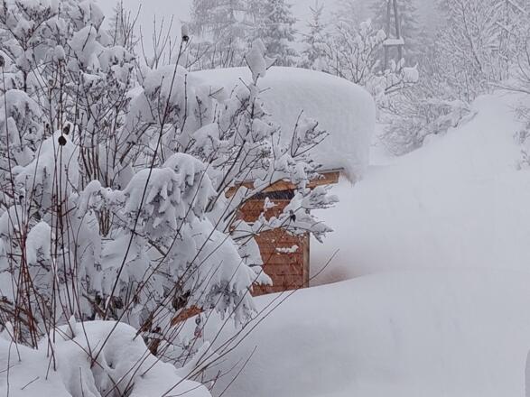 Winterlandschaft