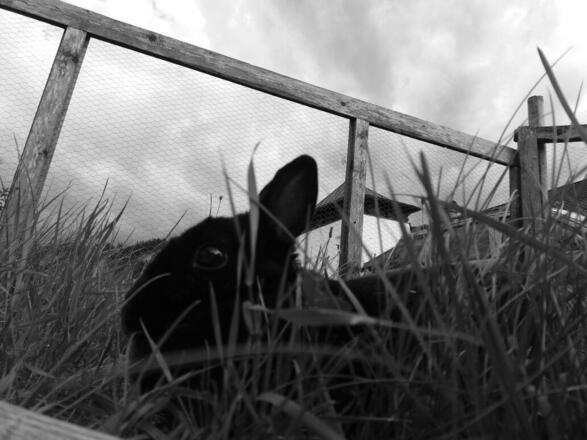 Unsere Tiere hautnah erleben