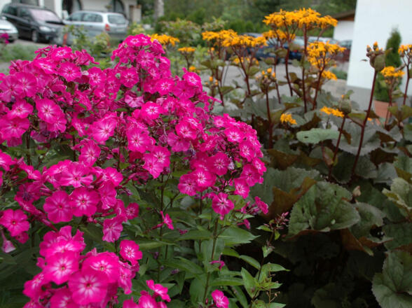 Appartements Vilsalp Detailansicht Garten