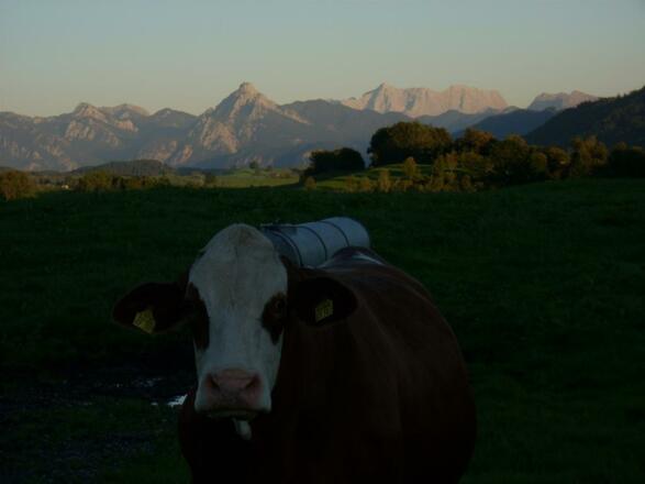Panormablick
