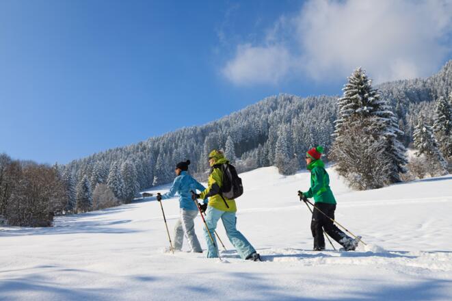 Ort_191Schneeschuh