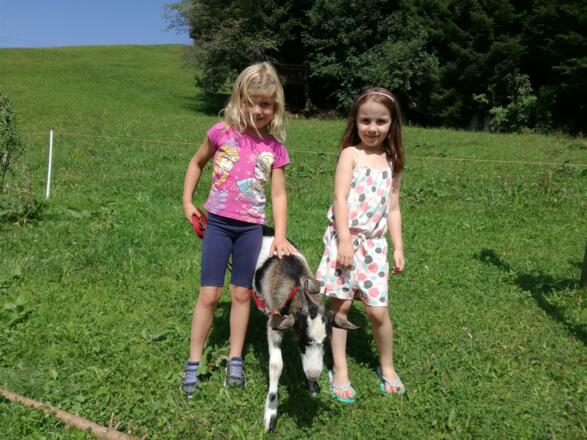 Kinder mit Meggi