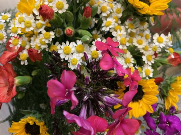 Sommerblumen