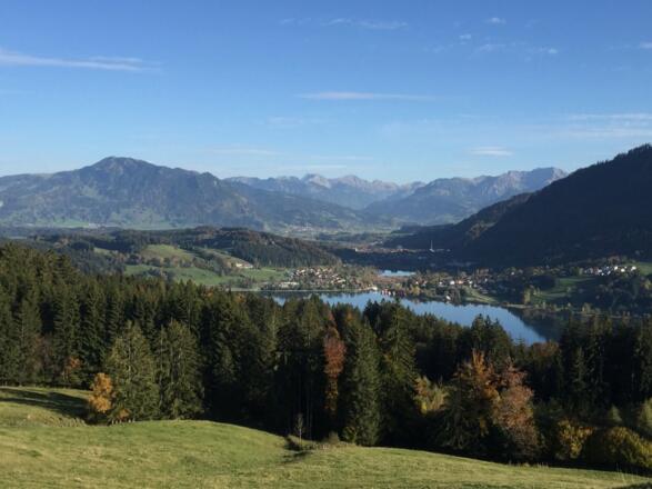 Blick auf den Alpsee