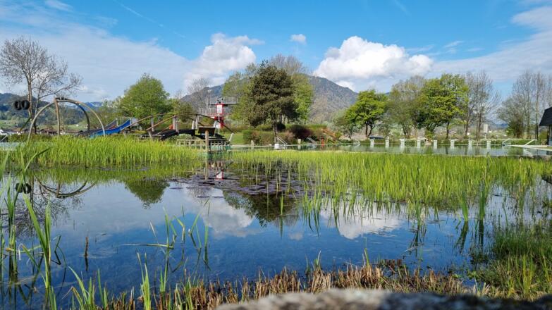 Moorbecken mit Springturm und Rutsche Vitalpark Burgberg