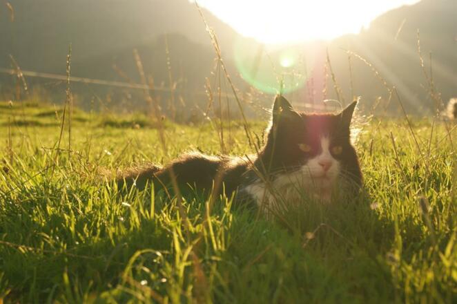 Unsere Tiere hautnah erleben
